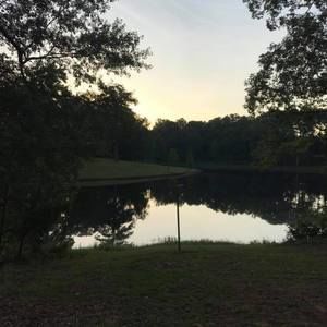 Meet your Posher, Vickie